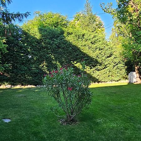Fuered Deluxe Garden Apartment Balatonfüred Zewnętrze zdjęcie
